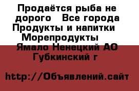 Продаётся рыба не дорого - Все города Продукты и напитки » Морепродукты   . Ямало-Ненецкий АО,Губкинский г.